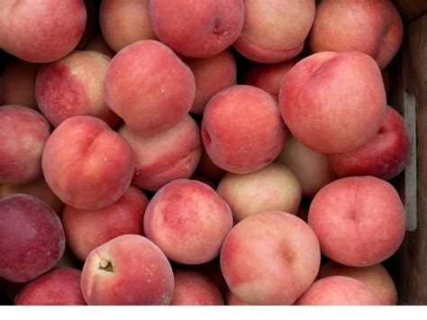 sweetest peach|Peach Varieties Guide